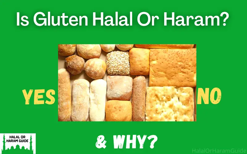 is-gluten-halal-or-haram-in-islam-in-detail