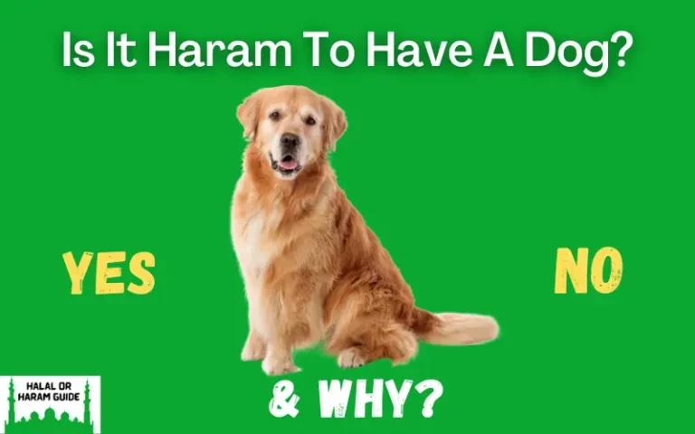 Is It Haram To Have A Dog? (Yes/No)