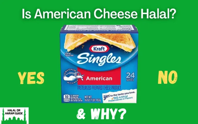 Is American Cheese Halal? (All Clear)
