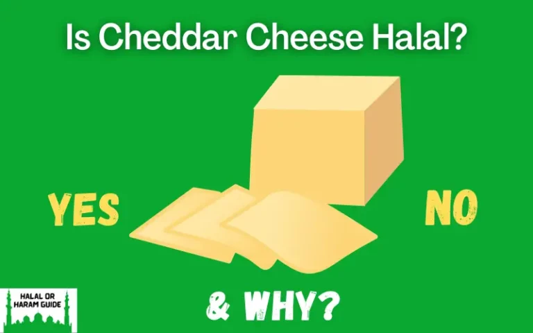 Is Cheddar Cheese Halal Or Haram In Islam? (All Clear)