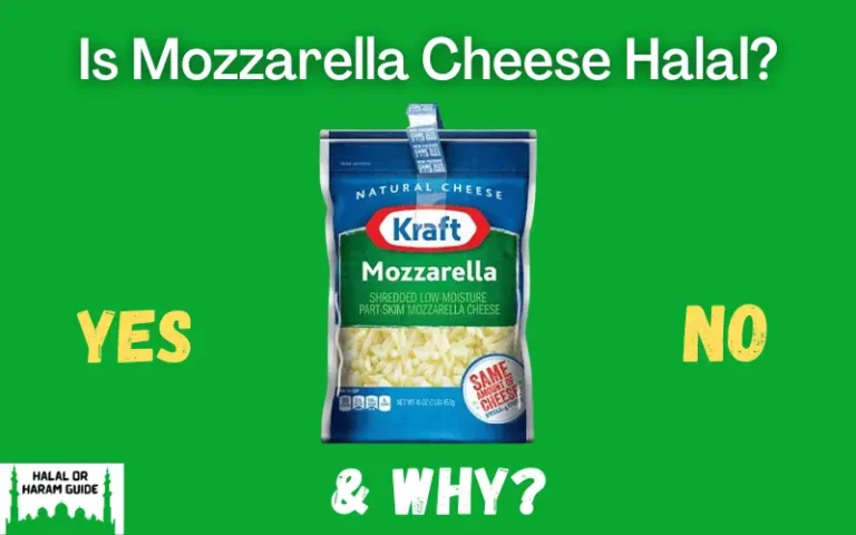 Is Mozzarella Cheese Halal Or Haram? (All Brands)