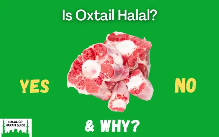 Is Oxtail Halal In Islam? (All Clear)
