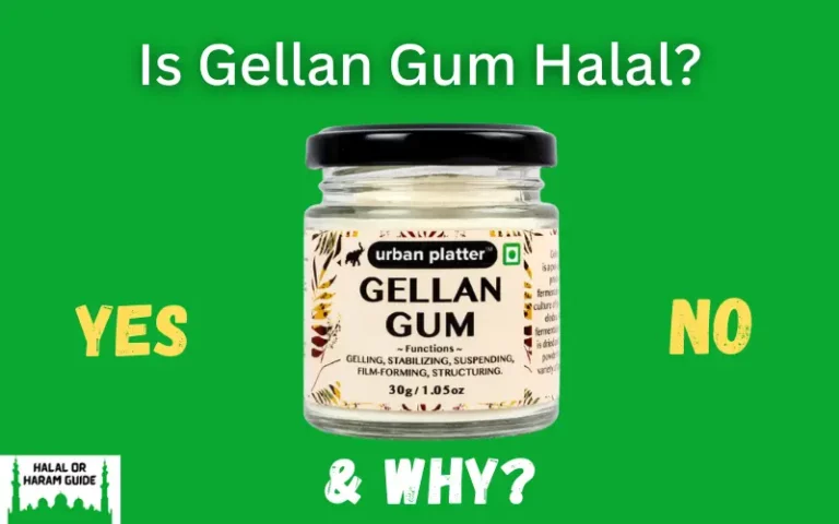 Is Gellan Gum Halal Or Haram? (All Clear)