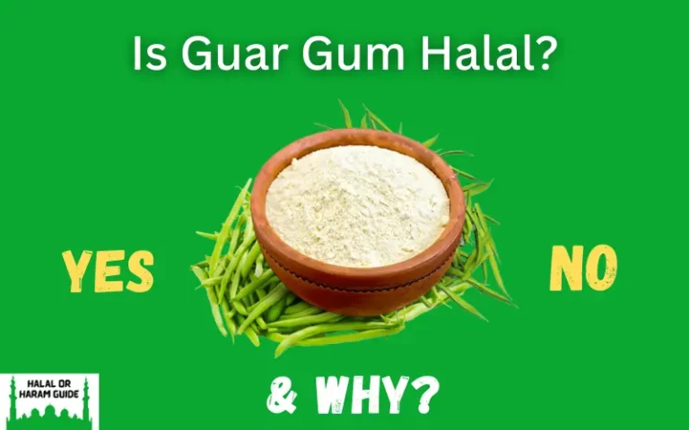 Is Guar Gum Halal Or Haram? (All Clear)