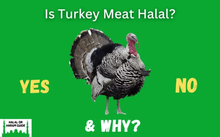 Is Turkey Meat Halal In Islam?