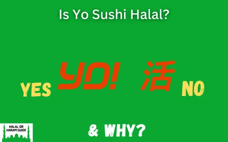 Is Yo Sushi Halal In UK? (All Clear)